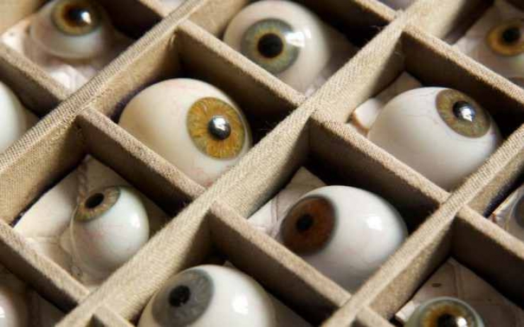 Illustration de l'article : Aéroports: Découvrez Les 19 saisies douanières les plus insolites du moment! La 8 est vraiment incroyable!