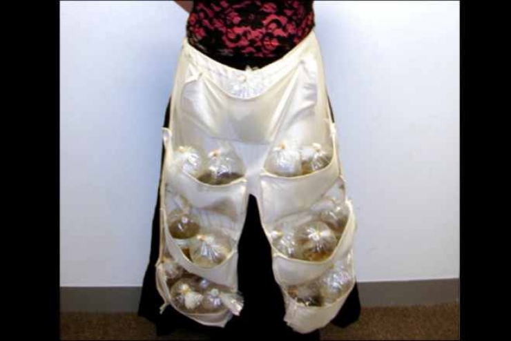 Illustration de l'article : Aéroports: Découvrez Les 19 saisies douanières les plus insolites du moment! La 8 est vraiment incroyable!