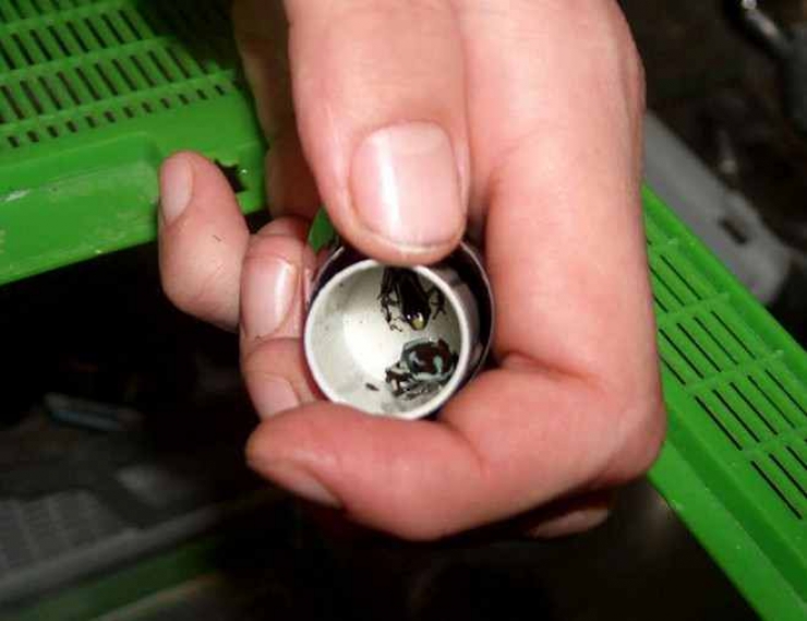 Illustration de l'article : Aéroports: Découvrez Les 19 saisies douanières les plus insolites du moment! La 8 est vraiment incroyable!