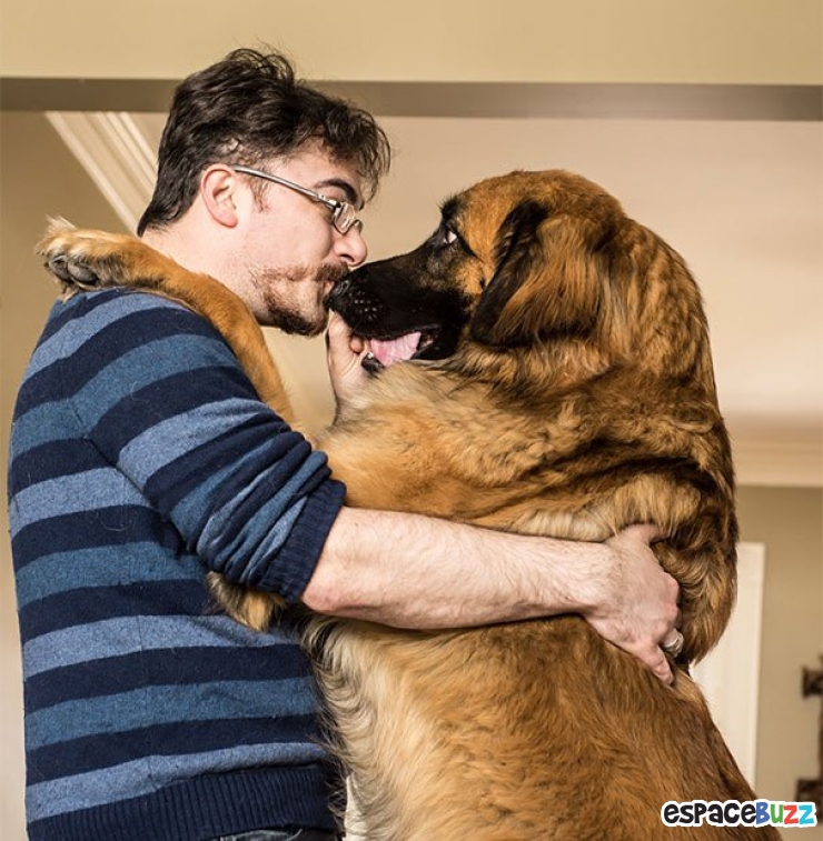 15 magnifiques photos de tendresse entre des chiens et leurs maîtres