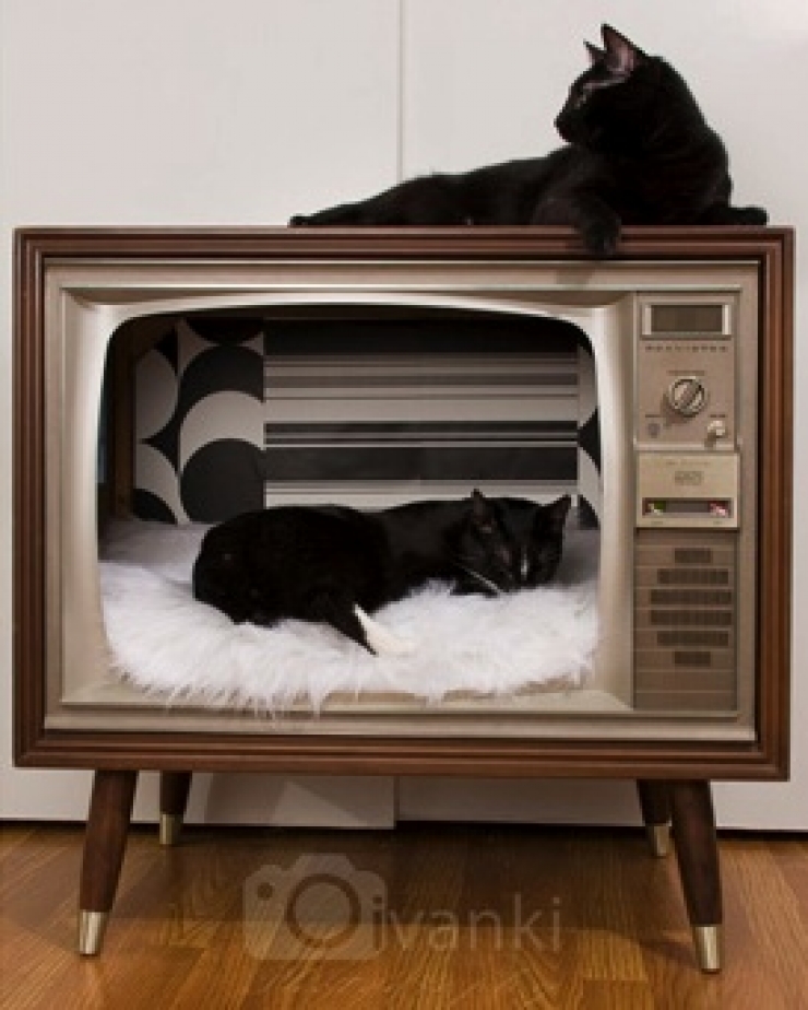 Illustration de l'article : Trouvez votre inspiration à travers ces 32 idées de recyclages en tous genres !