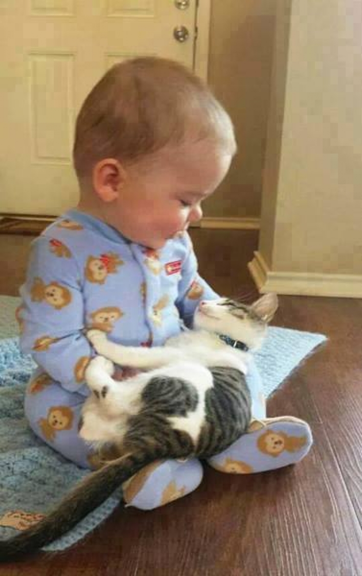 Chats et bébés complices 19 merveilleuses photos pour faire le plein de bonne humeur
