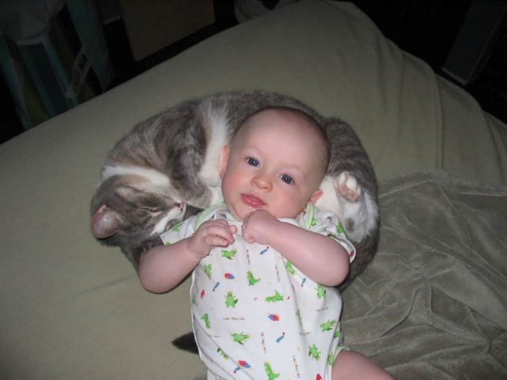 Chats et bébés complices 19 merveilleuses photos pour faire le plein de bonne humeur