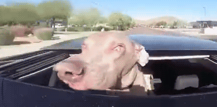 740_espacebuzz556c77663fa18.gif