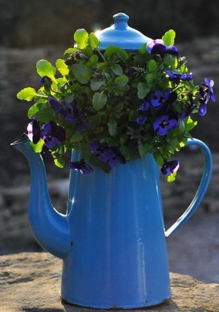 Illustration de l'article : Ces objets détournés en Pots de fleurs ! De quoi vous donner des idées !