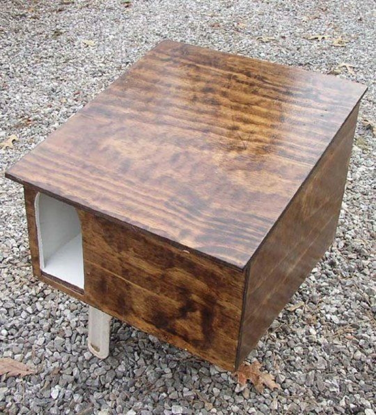 Illustration de l'article : Besoin de cacher la litière de votre chat ? Voici 34 idées qui devraient vous intéresser !