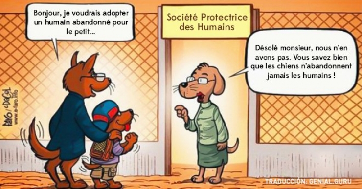 Ou Est Tourne Face A Face Ces 20 dessins très drôles nous rappellent qu’on vit dans un monde qui