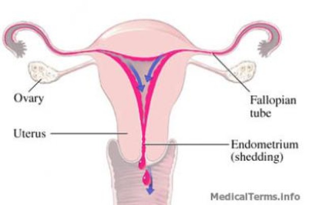 Illustration de l'article : 7 signes qui cachent souvent un vagin en mauvaise santé...