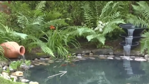 bassin de jardin tuto