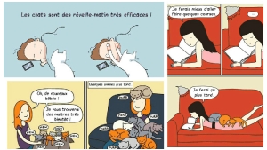 chat drole bande dessinee