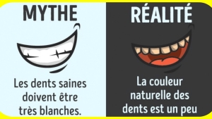 Image illustrant l'article Stop: Ces 11 mythes sur le corps humain sont complètement faux!