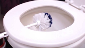 Image illustrant l'article Pendant 10 Minutes, Elle Coince Sa Brosse Sur La Toilette. Il Suffisait d'y Penser, Et Pourtant C'est Évident!