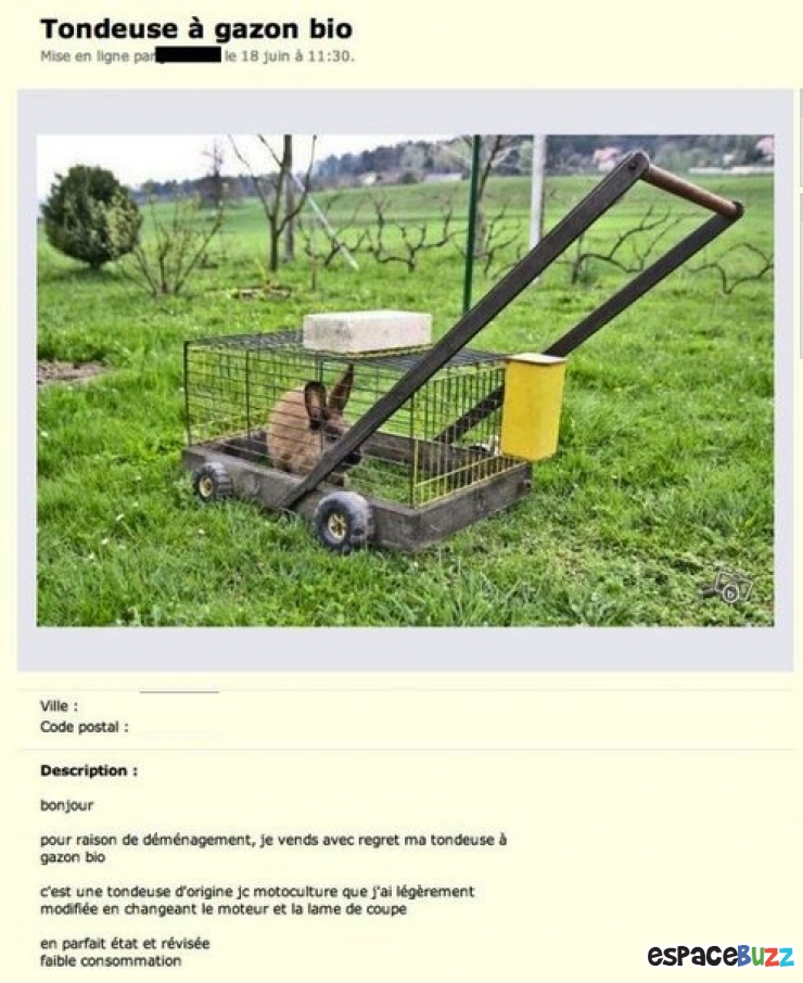 Illustration de l'article : Compilation des 10 objets les plus insolites trouvés sur Le Bon Coin!