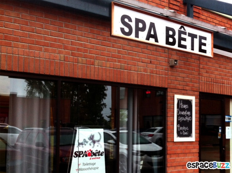 Illustration de l'article : Les 8 Jeux de mots les plus ratés !