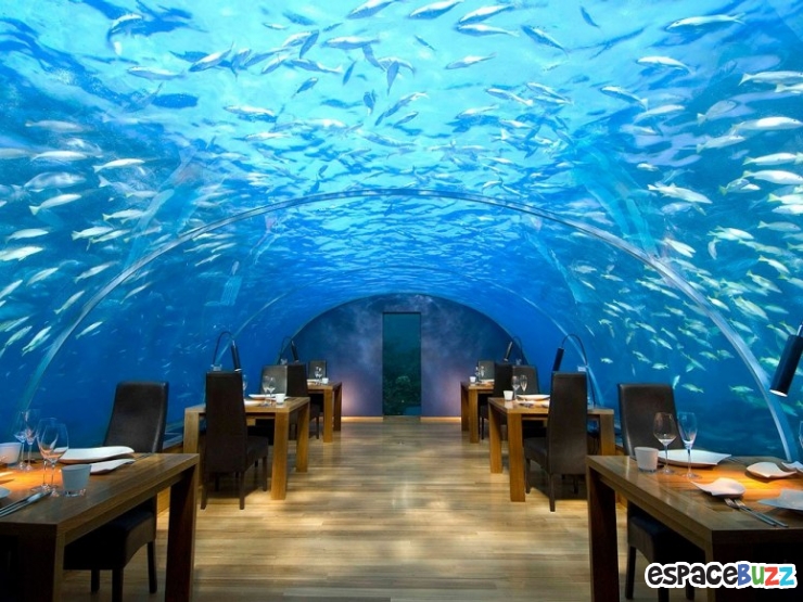 Illustration de l'article : Les 10 restaurants les plus incroyables du monde !