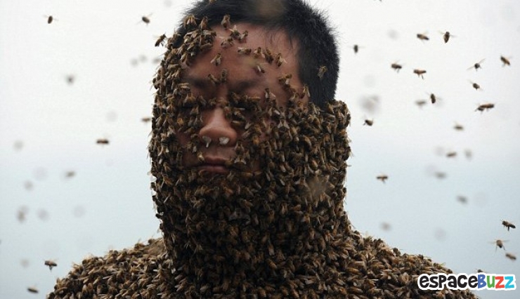 Illustration de l'article : Cette homme se fait recouvrir le corps par plus de 460 000 abeilles !
