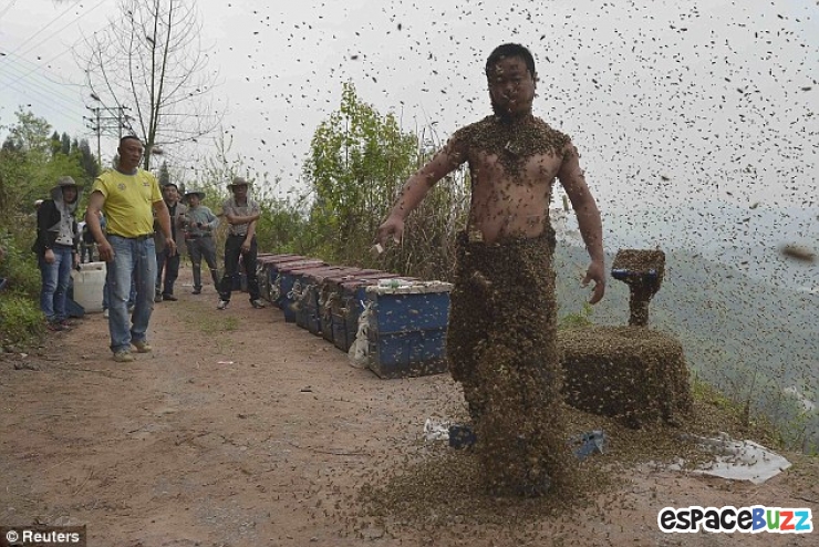 Illustration de l'article : Cette homme se fait recouvrir le corps par plus de 460 000 abeilles !