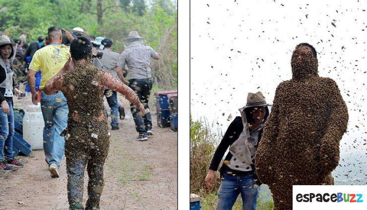 Illustration de l'article : Cette homme se fait recouvrir le corps par plus de 460 000 abeilles !