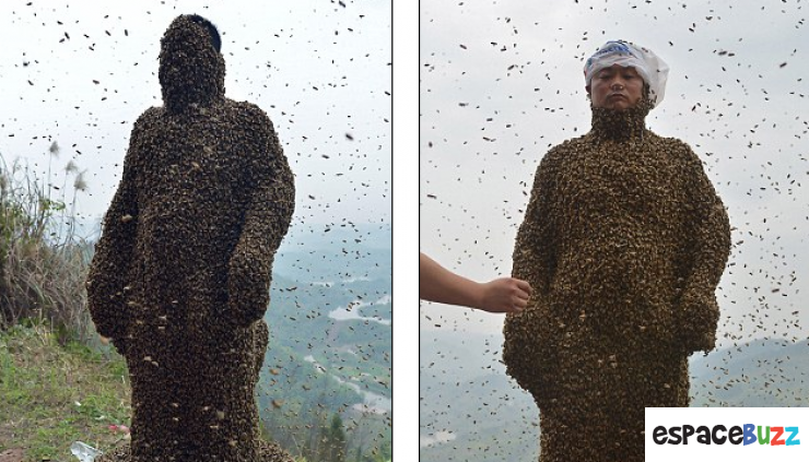 Illustration de l'article : Cette homme se fait recouvrir le corps par plus de 460 000 abeilles !