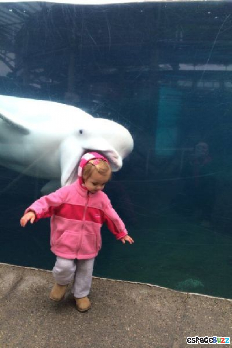 Illustration de l'article : La compile ultime des photos prises avec un timing parfait (the most perfectly timed photos ever)