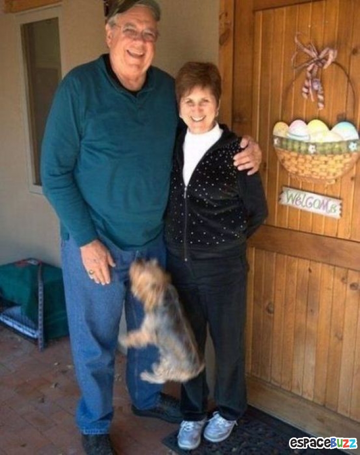 Illustration de l'article : La compile ultime des photos prises avec un timing parfait (the most perfectly timed photos ever)