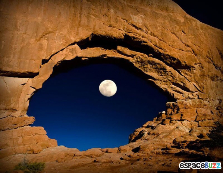 Illustration de l'article : La compile ultime des photos prises avec un timing parfait (the most perfectly timed photos ever)