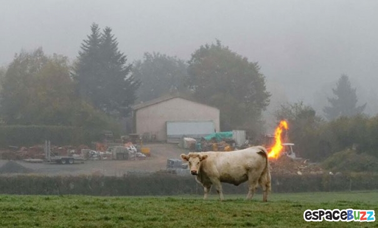 Illustration de l'article : La compile ultime des photos prises avec un timing parfait (the most perfectly timed photos ever)