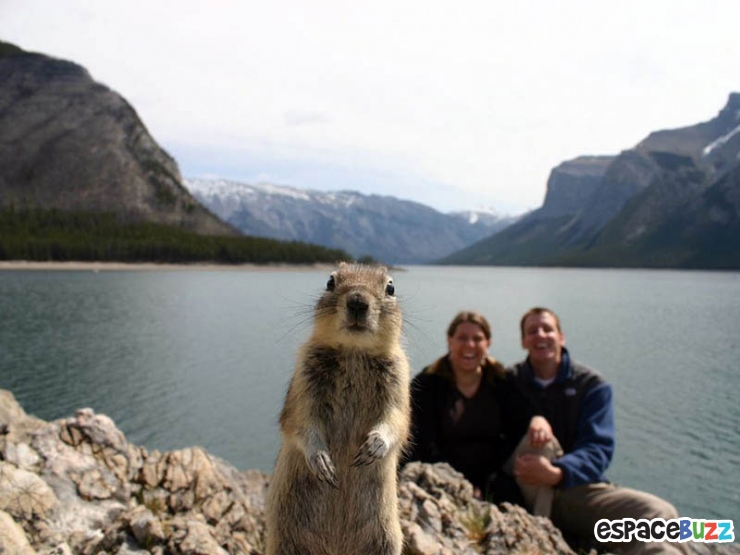 Illustration de l'article : La compile ultime des photos prises avec un timing parfait (the most perfectly timed photos ever)