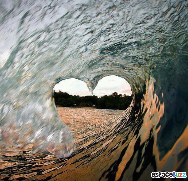 Illustration de l'article : La compile ultime des photos prises avec un timing parfait (the most perfectly timed photos ever)