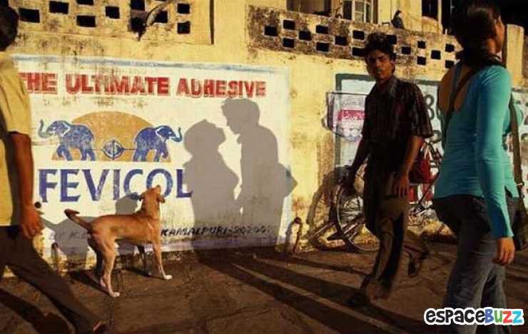 Illustration de l'article : La compile ultime des photos prises avec un timing parfait (the most perfectly timed photos ever)