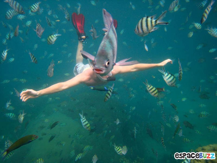 Illustration de l'article : La compile ultime des photos prises avec un timing parfait (the most perfectly timed photos ever)