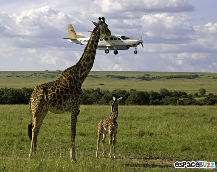 Illustration de l'article : La compile ultime des photos prises avec un timing parfait (the most perfectly timed photos ever)