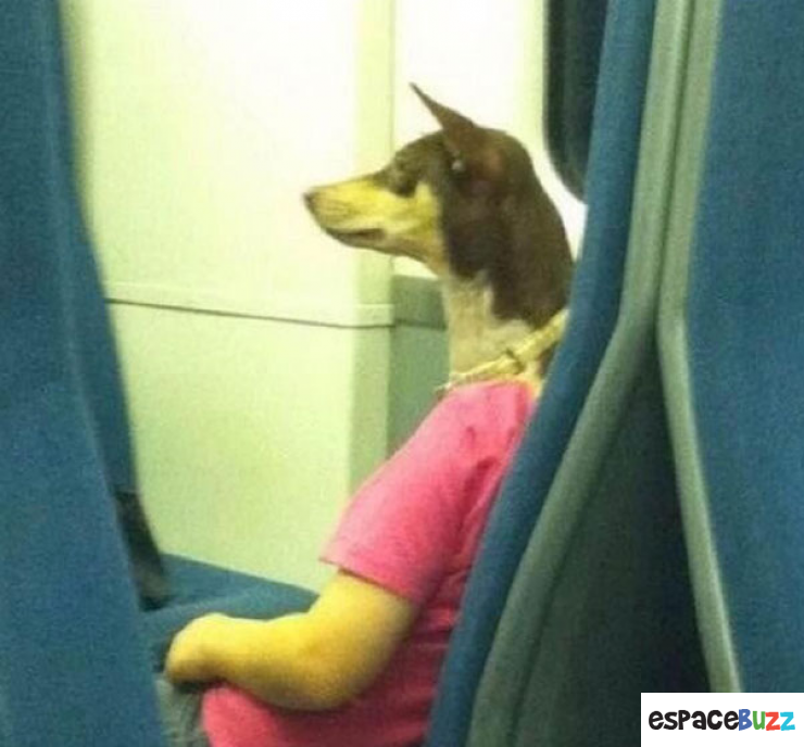 Illustration de l'article : La compile ultime des photos prises avec un timing parfait (the most perfectly timed photos ever)