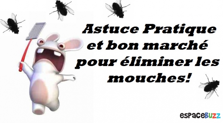 Illustration de l'article : Que Faire Contre les Mouches ? L'astuce pratique qui ne coûte rien!