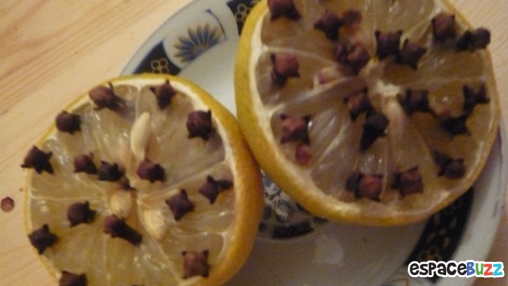 Illustration de l'article : Que Faire Contre les Mouches ? L'astuce pratique qui ne coûte rien!