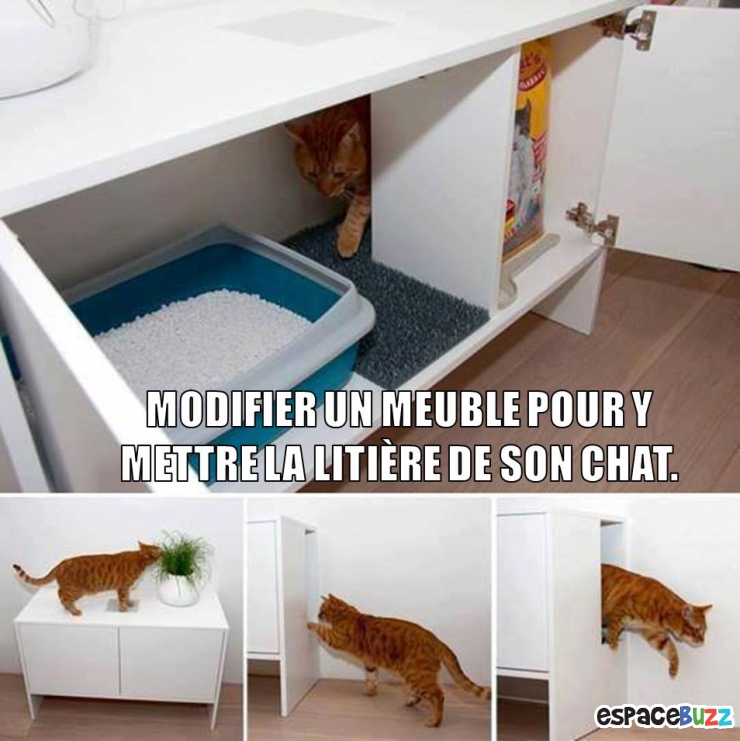 Illustration de l'article : 13 Astuces de Génie pour vous changer la vie!