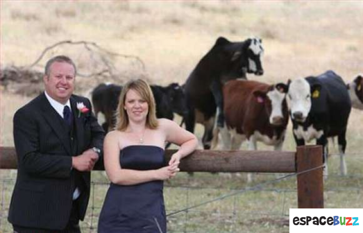 Illustration de l'article : 29 photos de mariage complètement dingue!