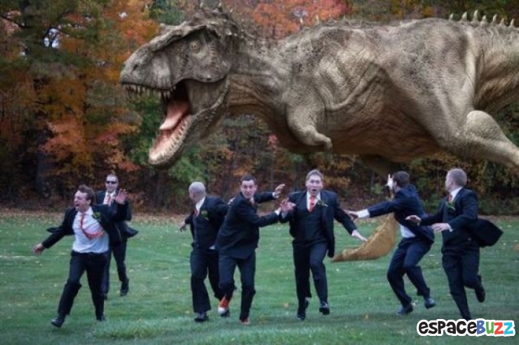 Illustration de l'article : 29 photos de mariage complètement dingue!