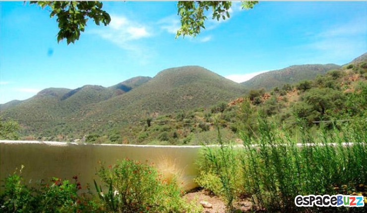 Illustration de l'article : Trouvez l'erreur : le paysage