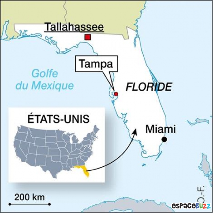 Illustration de l'article : News: Un enfant de 3 ans prend le fusil de son Oncle et se tue!