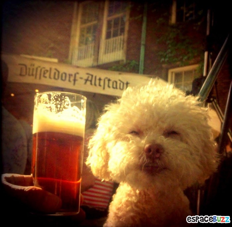 Illustration de l'article : Les voyages du chien Cerbero en 10 photos