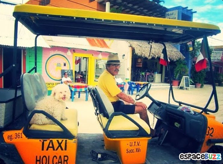 Illustration de l'article : Les voyages du chien Cerbero en 10 photos