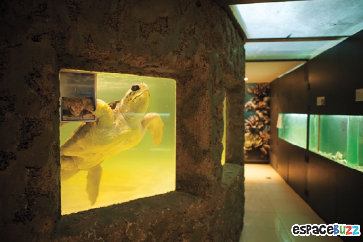 Illustration de l'article : 10 photos poignantes montrant la d&eacute;tresse d'animaux vivant en captivit&eacute;