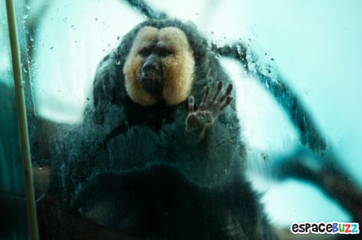 Illustration de l'article : 10 photos poignantes montrant la d&eacute;tresse d'animaux vivant en captivit&eacute;