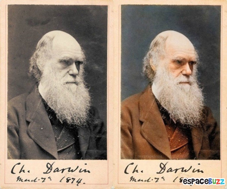 Illustration de l'article : 14 clich&eacute;s en noir et blanc auxquels l'on a simplement ajout&eacute; la couleur