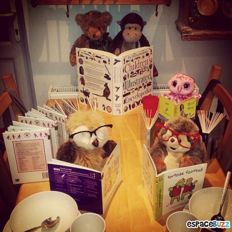 Illustration de l'article : Ils décorent la table du petit déjeuner avec un thème différent chaque matin pour leurs enfants