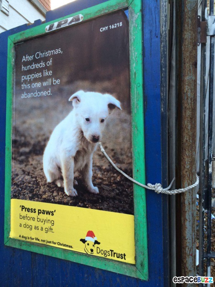 Illustration de l'article : 15 affiches de campagnes de sensibilisation ultra-percutantes