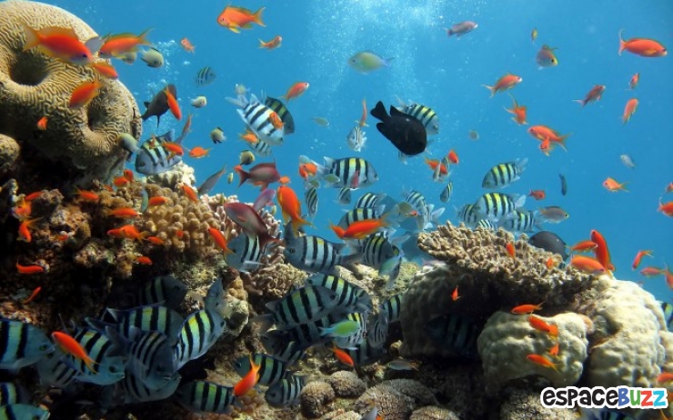 Illustration de l'article : Les 10 plus belles images que peuvent offrir les mers et oc&eacute;ans du monde