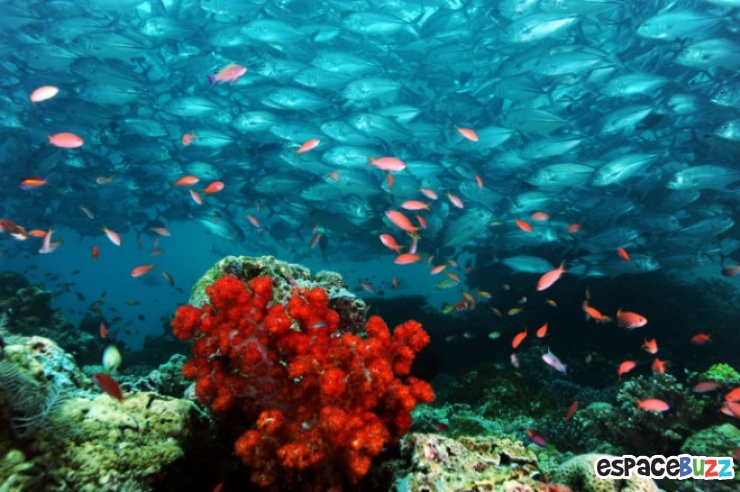 Illustration de l'article : Les 10 plus belles images que peuvent offrir les mers et oc&eacute;ans du monde