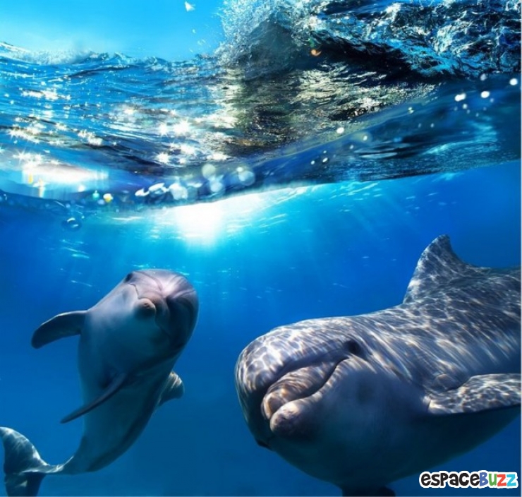 Illustration de l'article : Les 10 plus belles images que peuvent offrir les mers et oc&eacute;ans du monde